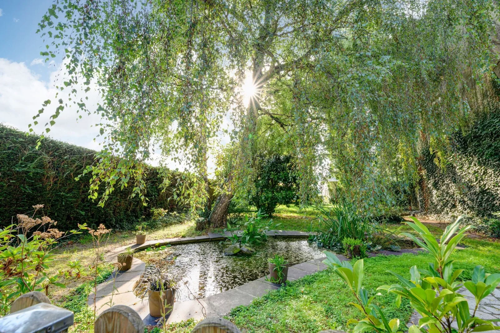 Le Petit Marais-Gardens summer