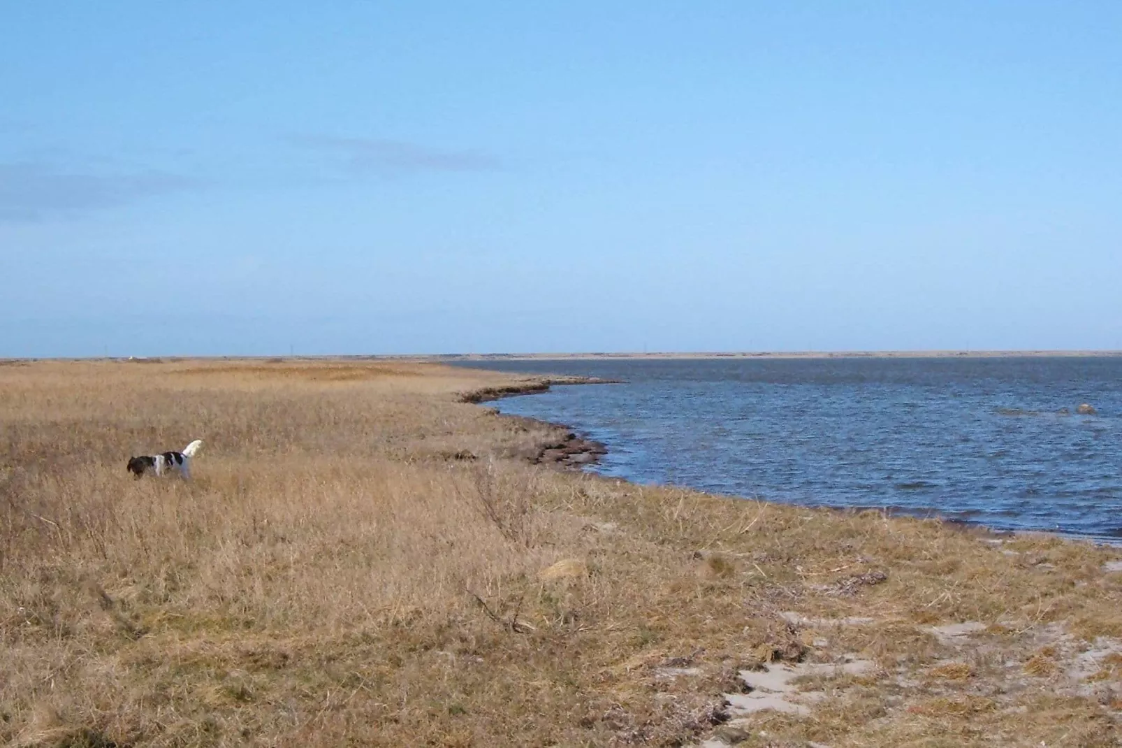 Maison de vacances pour 6 a Harboøre-By Traum