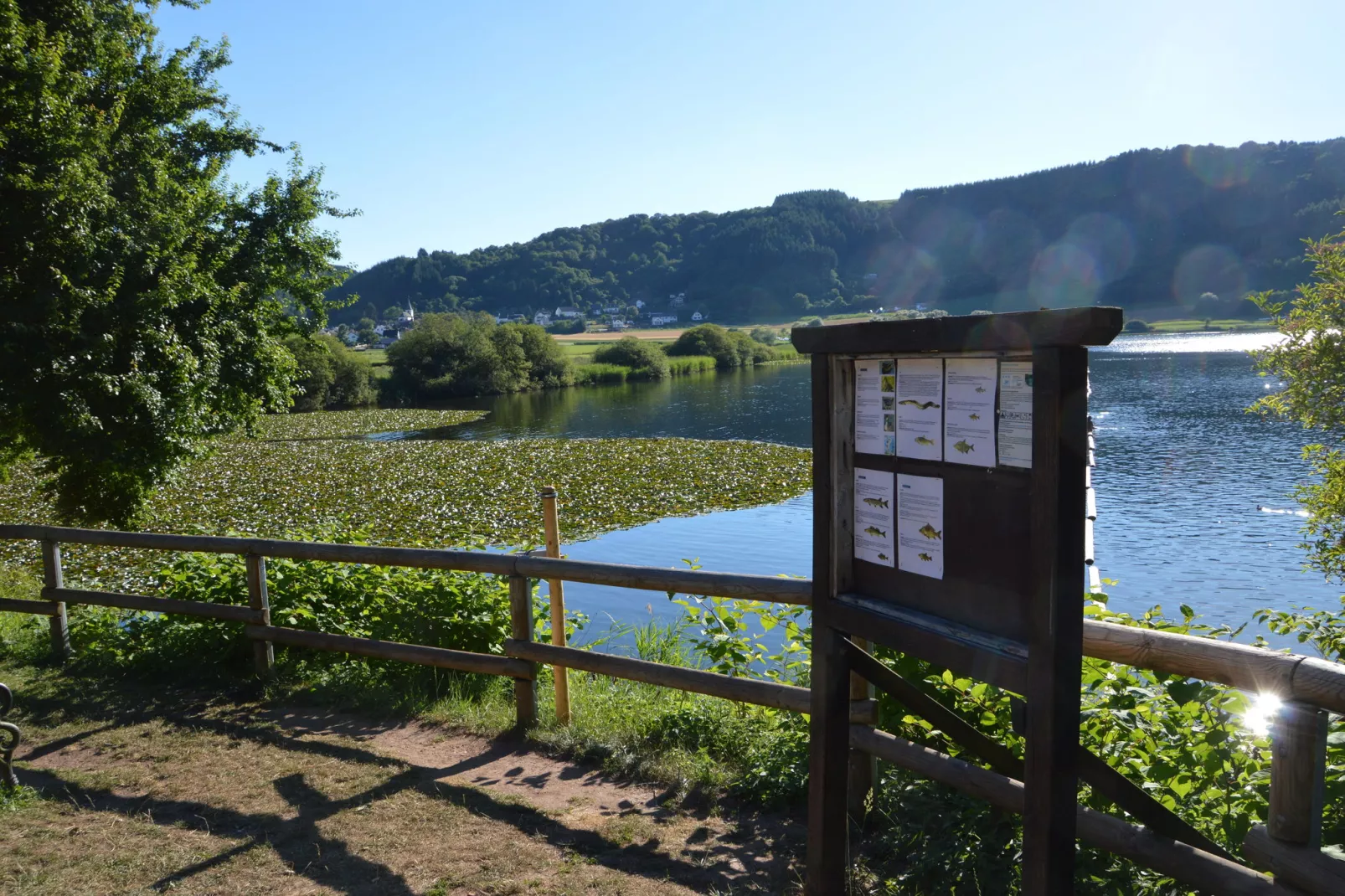 Enjoy II-Areas summer 20km