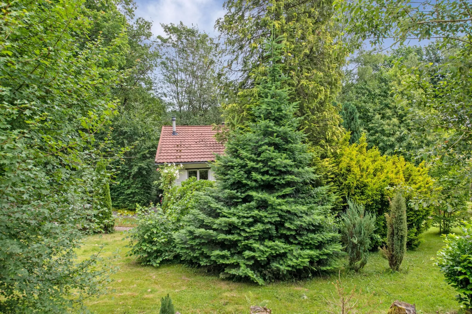 Magnifique Habitation pour 4 adultes-Aussicht Sommer