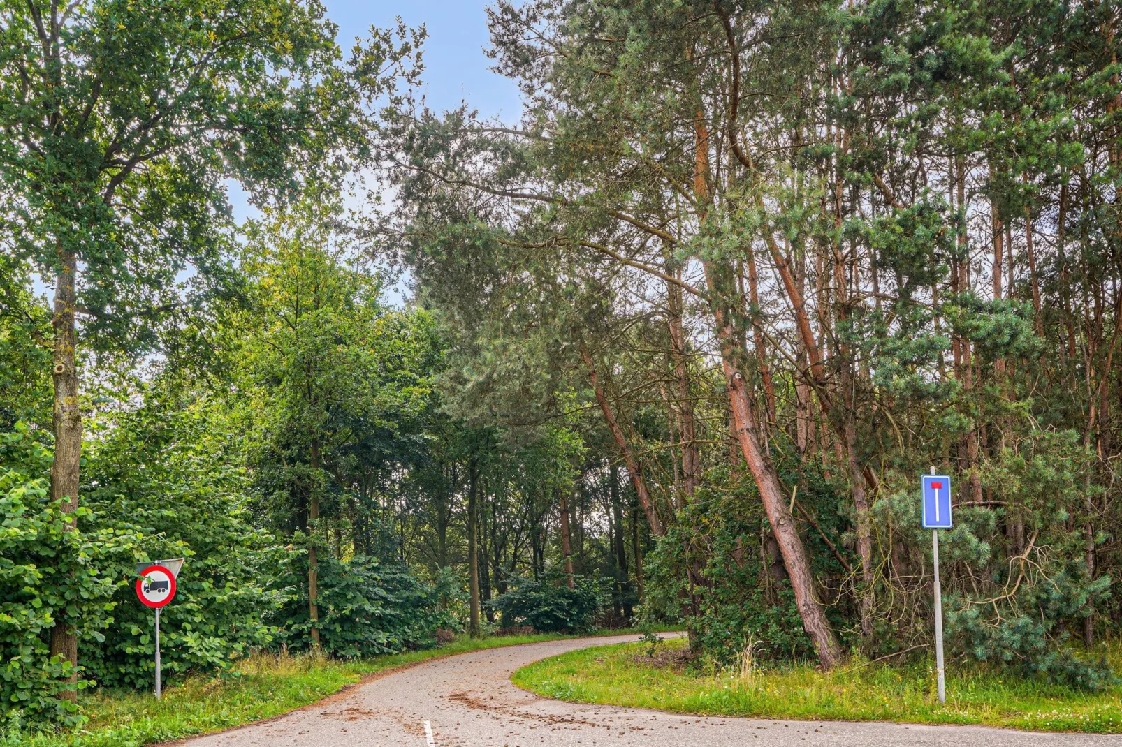 In de Witte Dame - 31B-Areas summer 5km