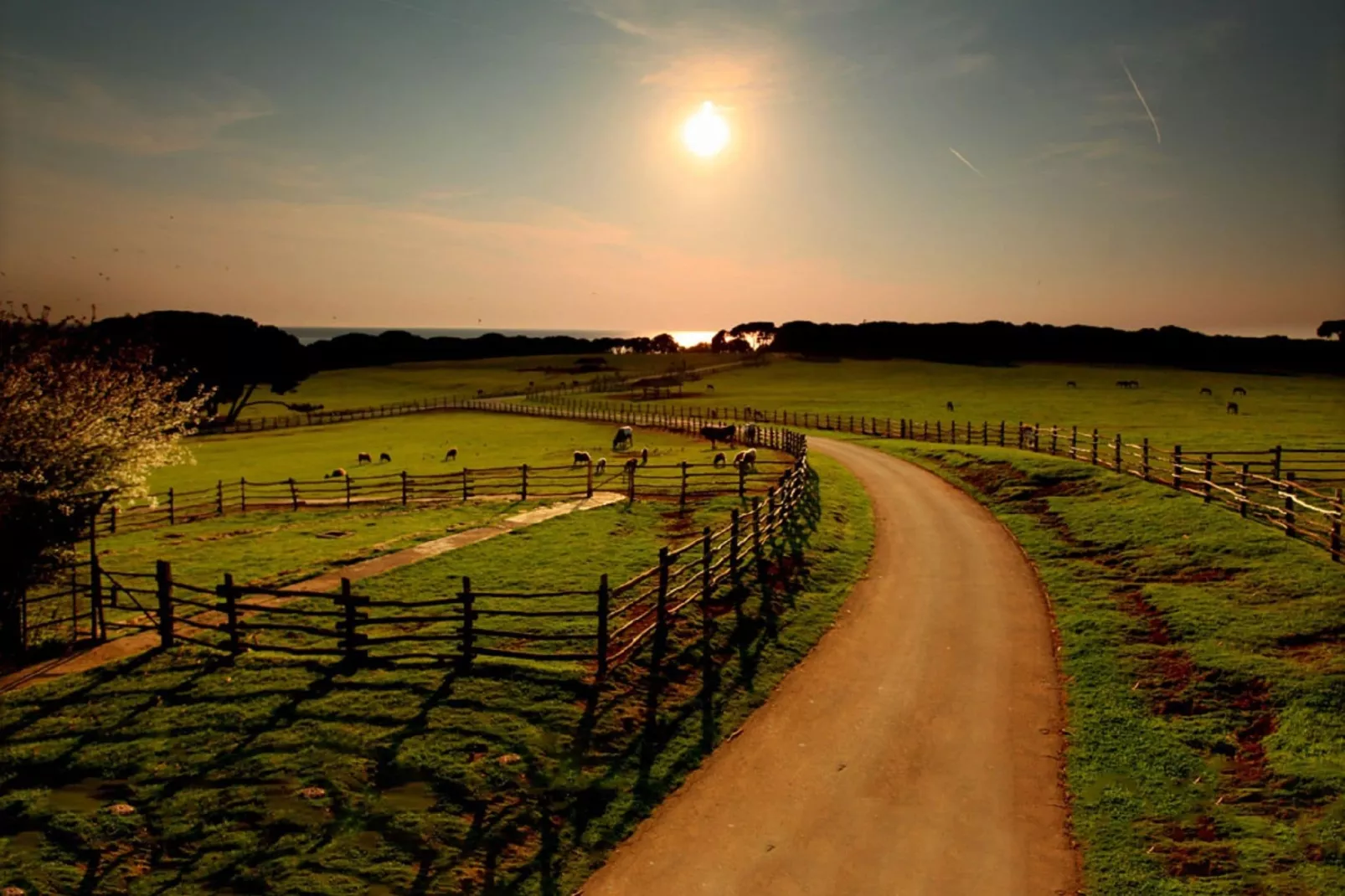 Holiday Home Nela-Gebiete Sommer 20 km