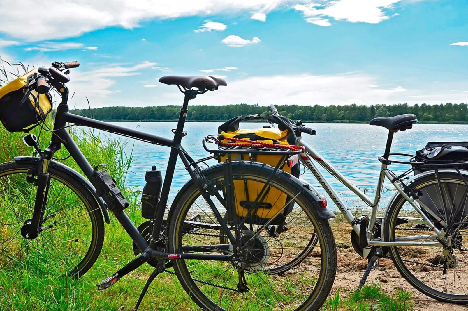 Vintage Wald-Ruckzugsort-By Traum-Nicht getaggt