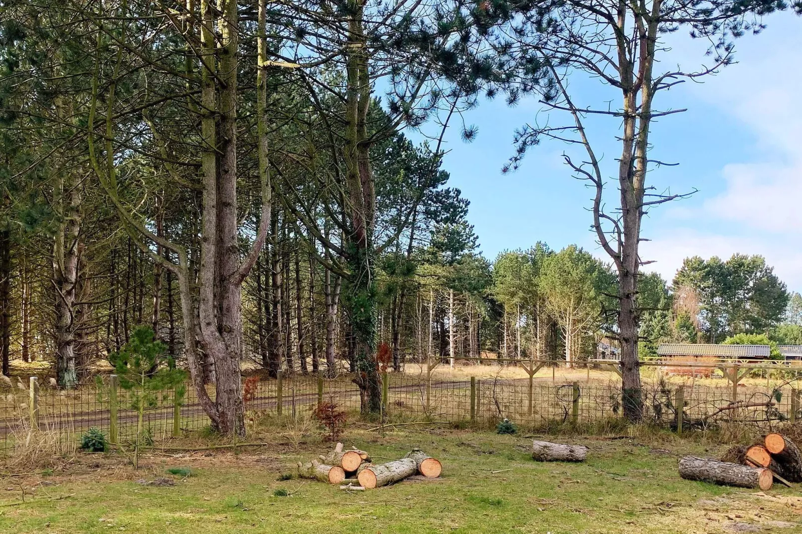 Maison de vacances pour 8 a Rødby-By Traum