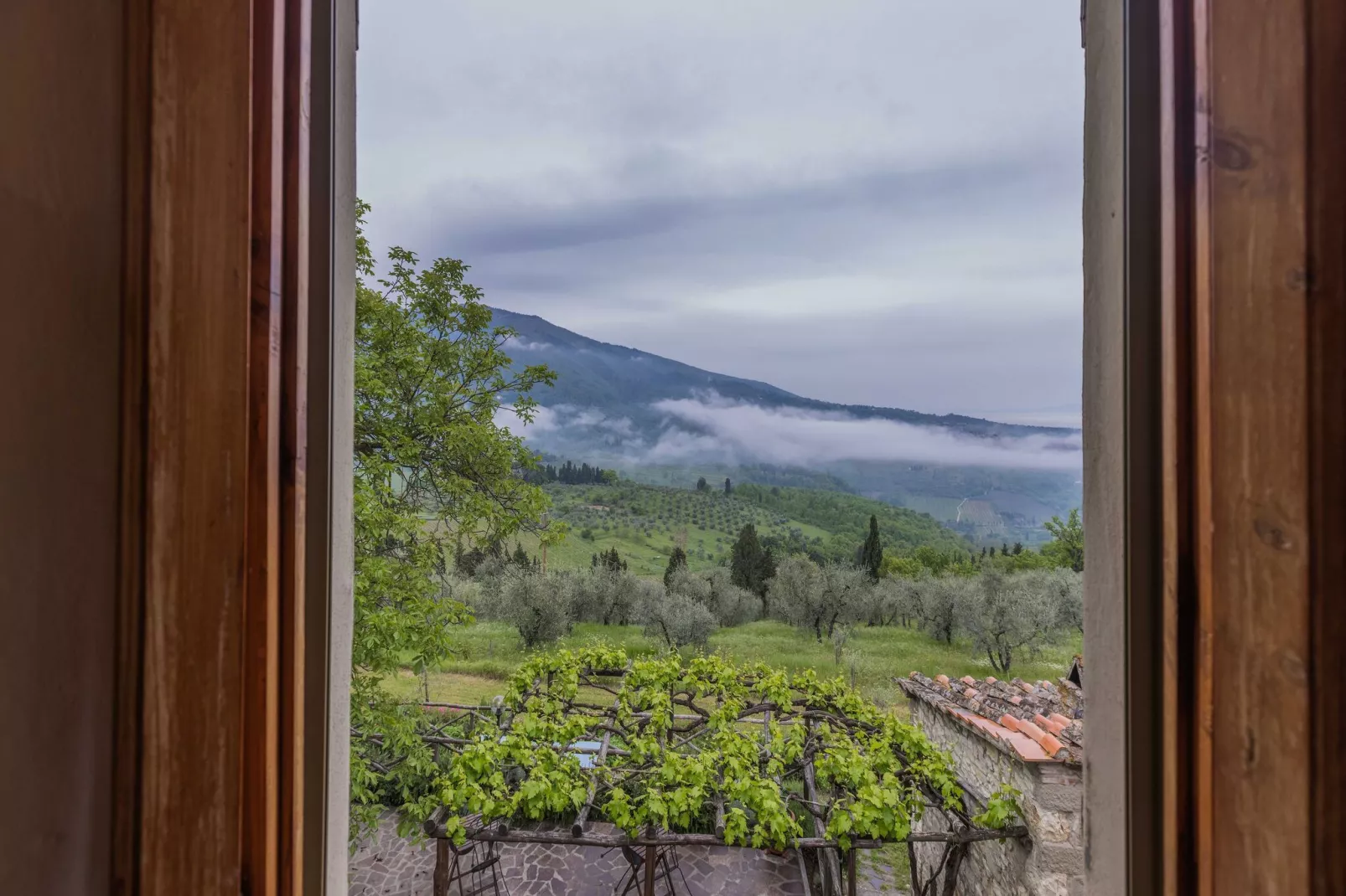 Il Ciliegio-View summer
