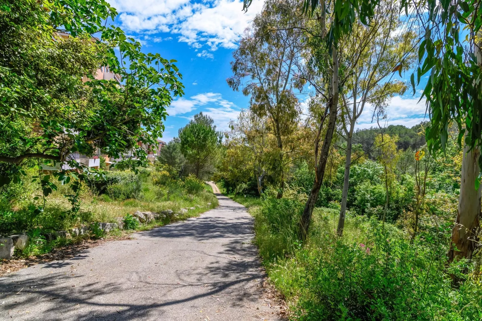 Apartment Bellavista-Zones d'été à 5 km