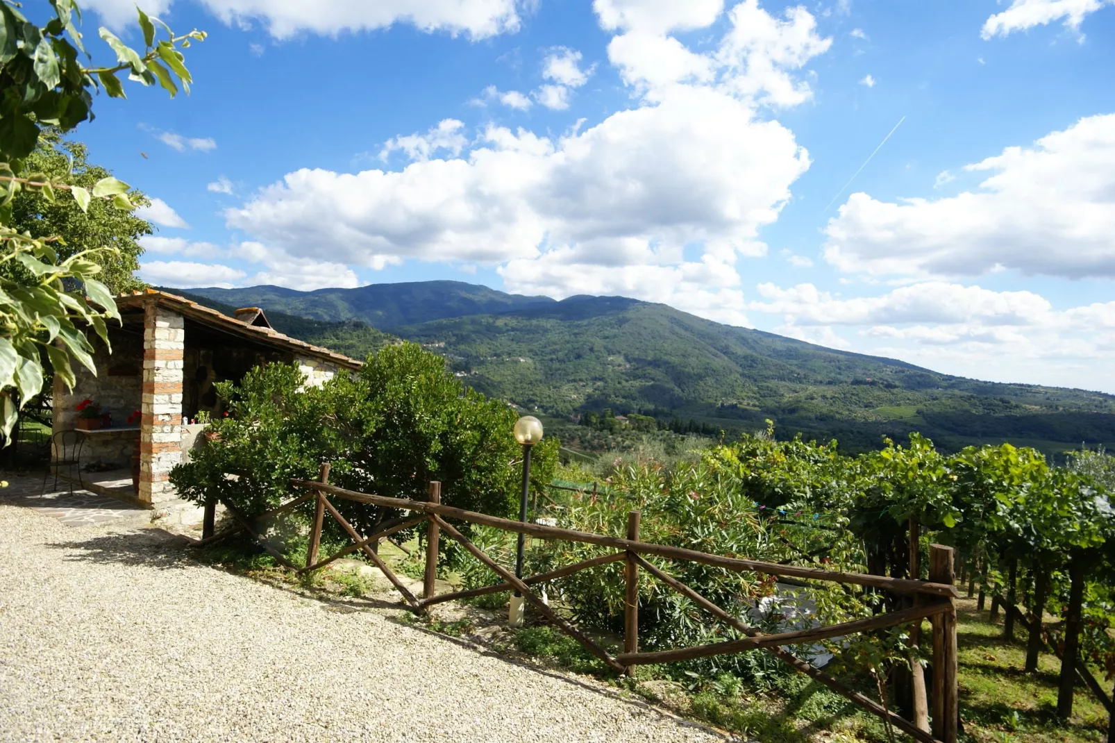 Noce-View summer