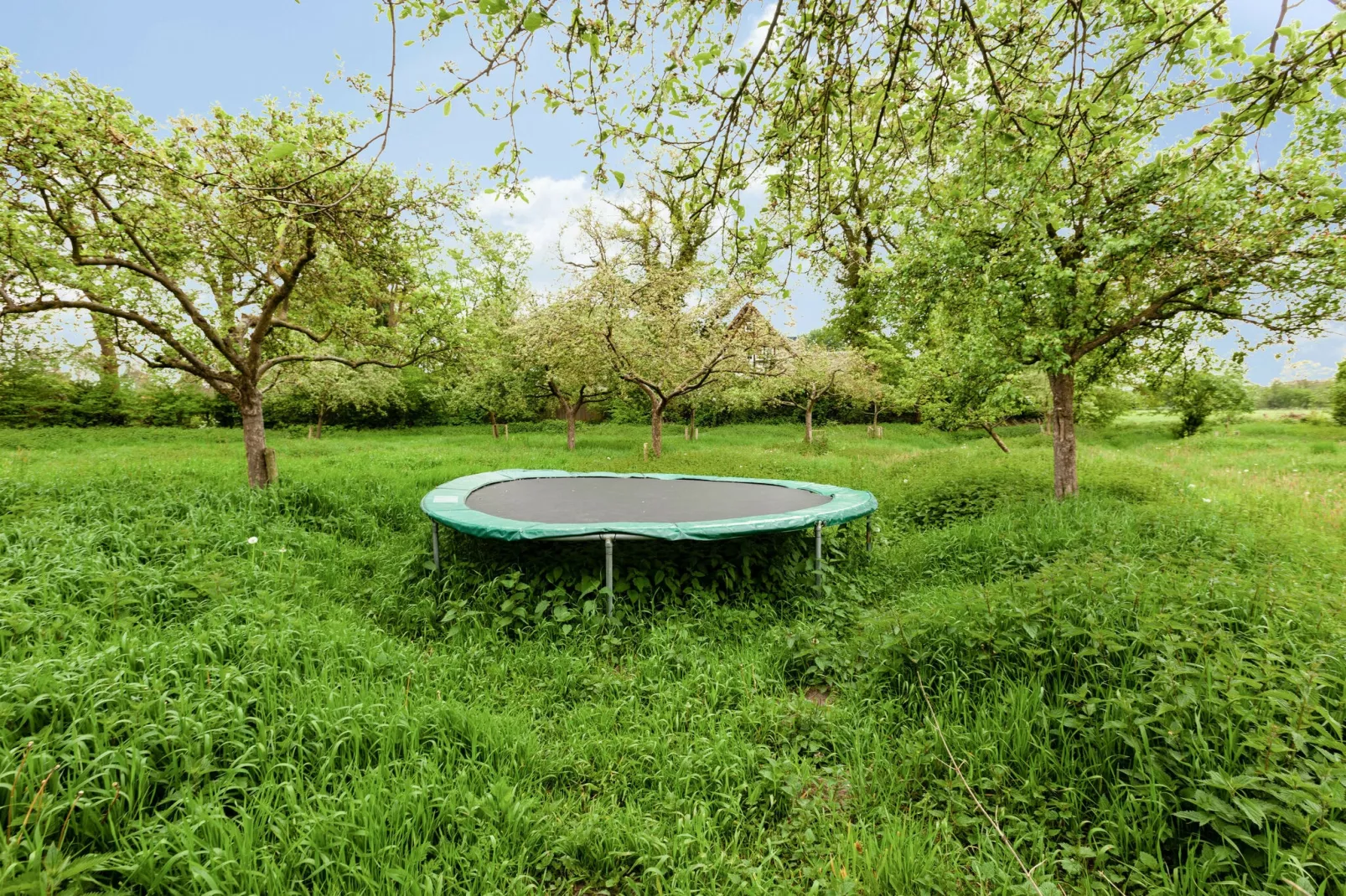 Kotman's spieker 12 persoons-Gardens summer