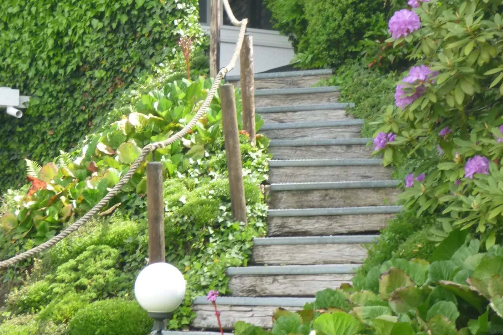 Schuler-Gardens summer