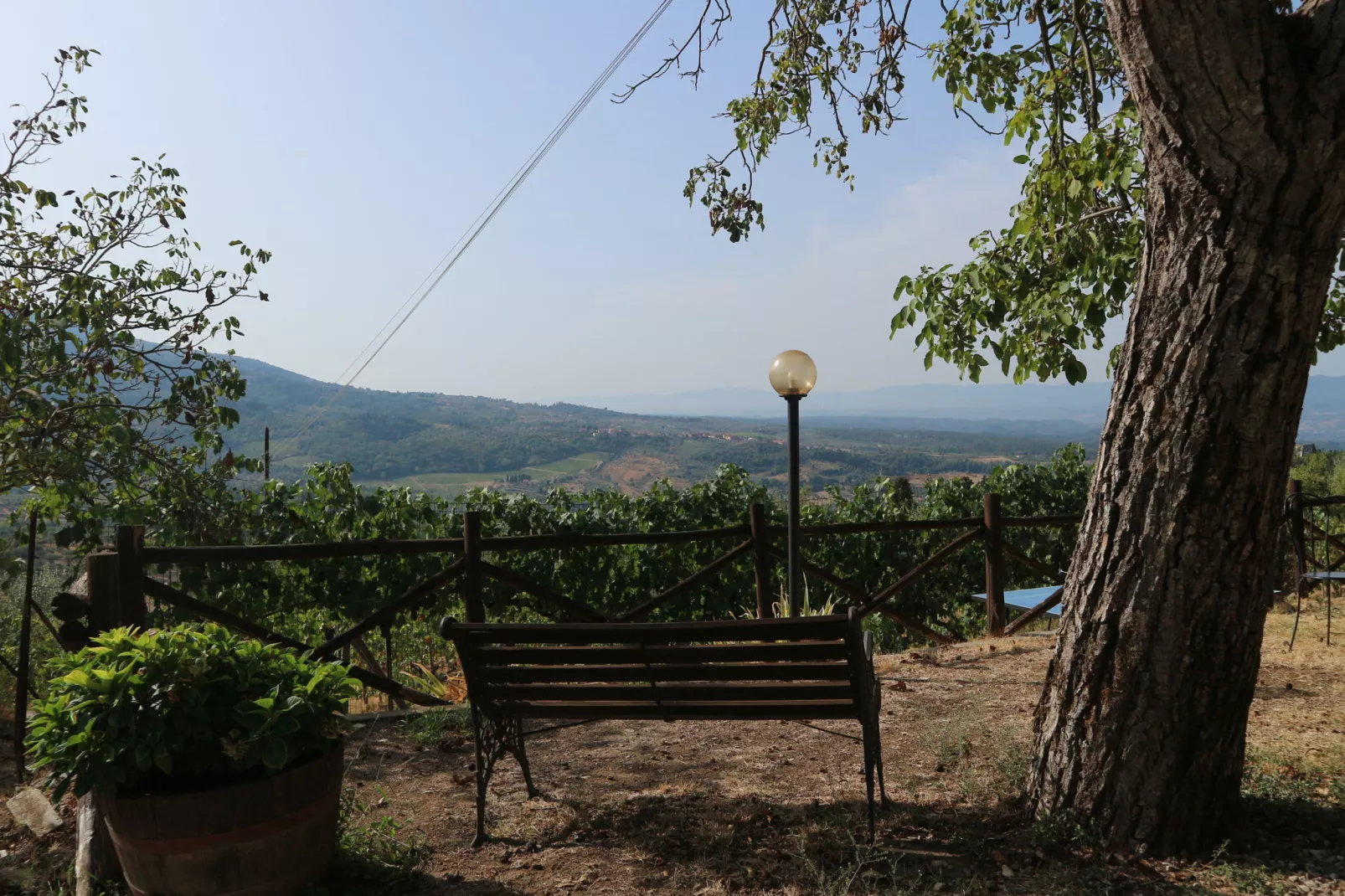 Noce-View summer