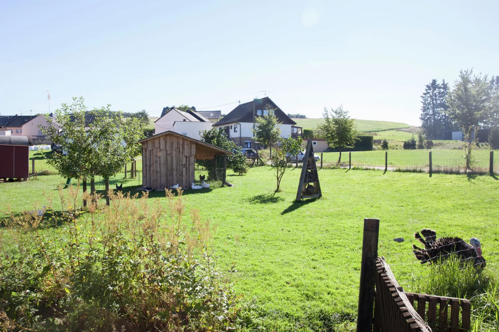 Haus Heinen-View summer