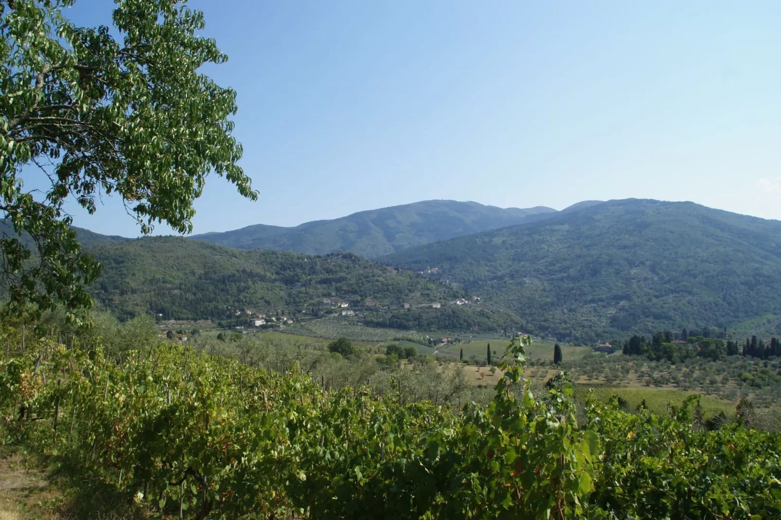 Noce-Areas summer 1km