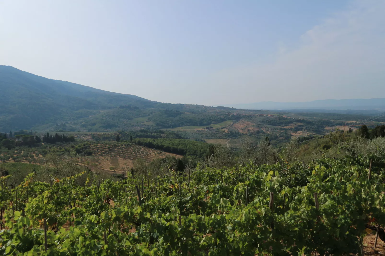 Noce-Areas summer 5km