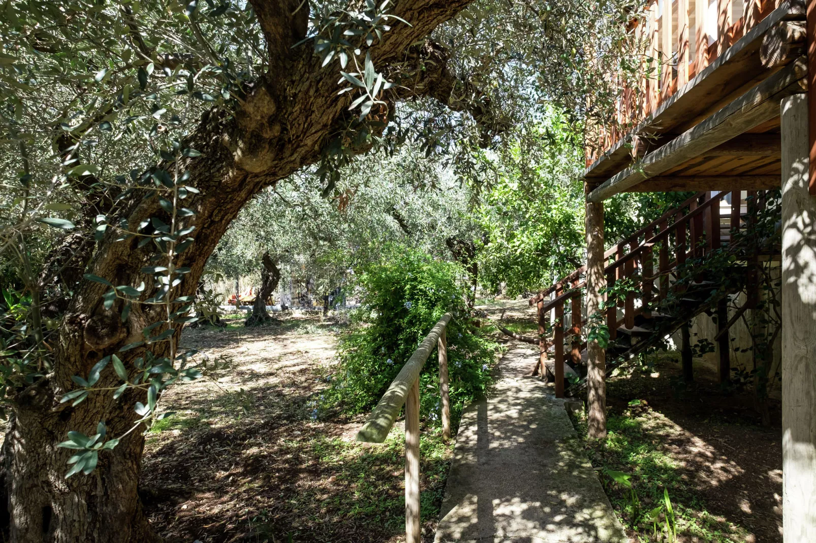 Montalbano-Areas summer 1km