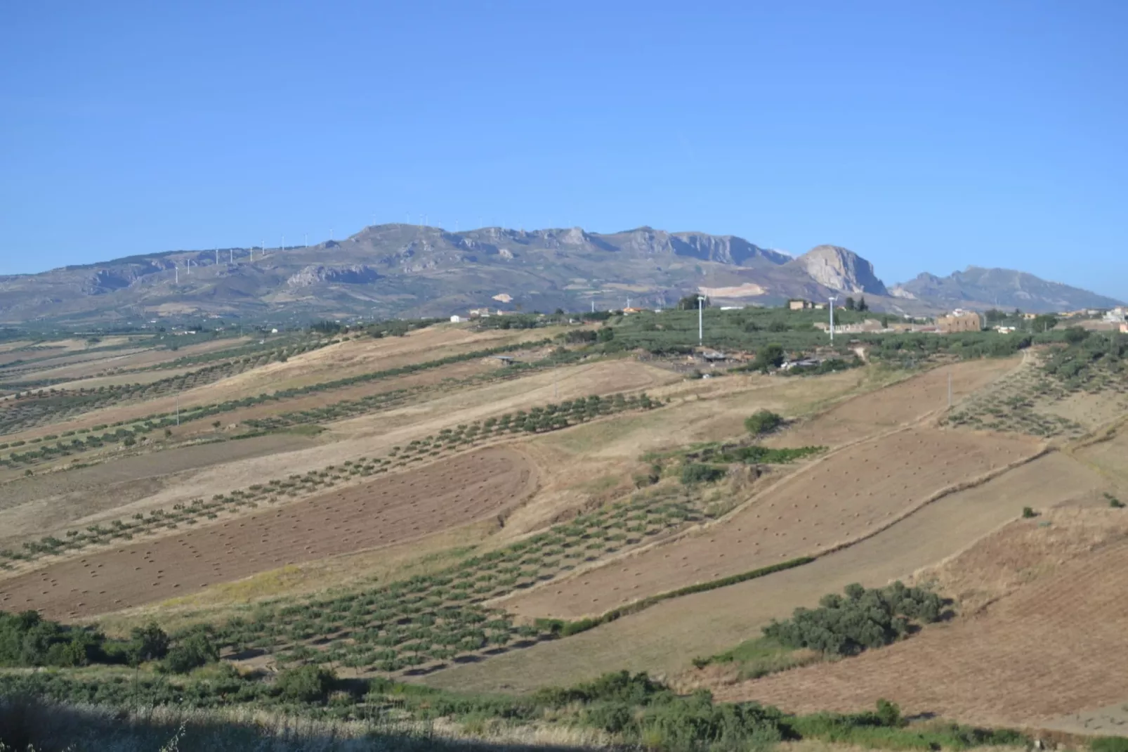 Montalbano-Areas summer 5km