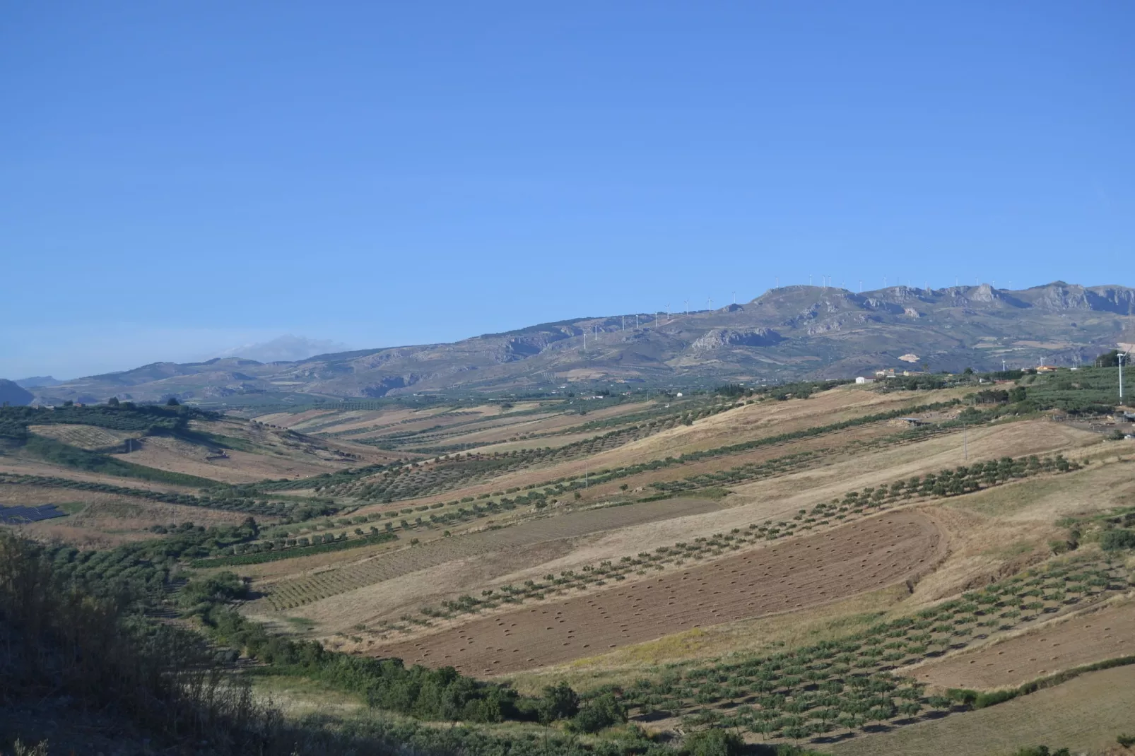 Montalbano-Areas summer 5km