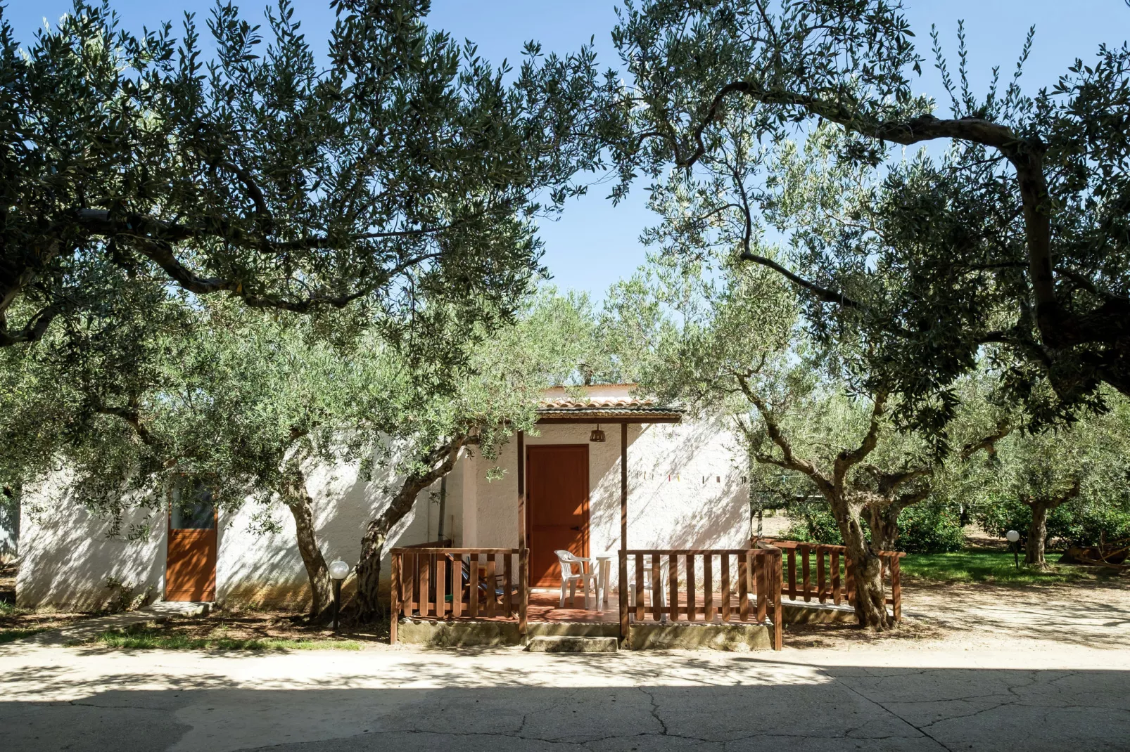 Montalbano Quattro