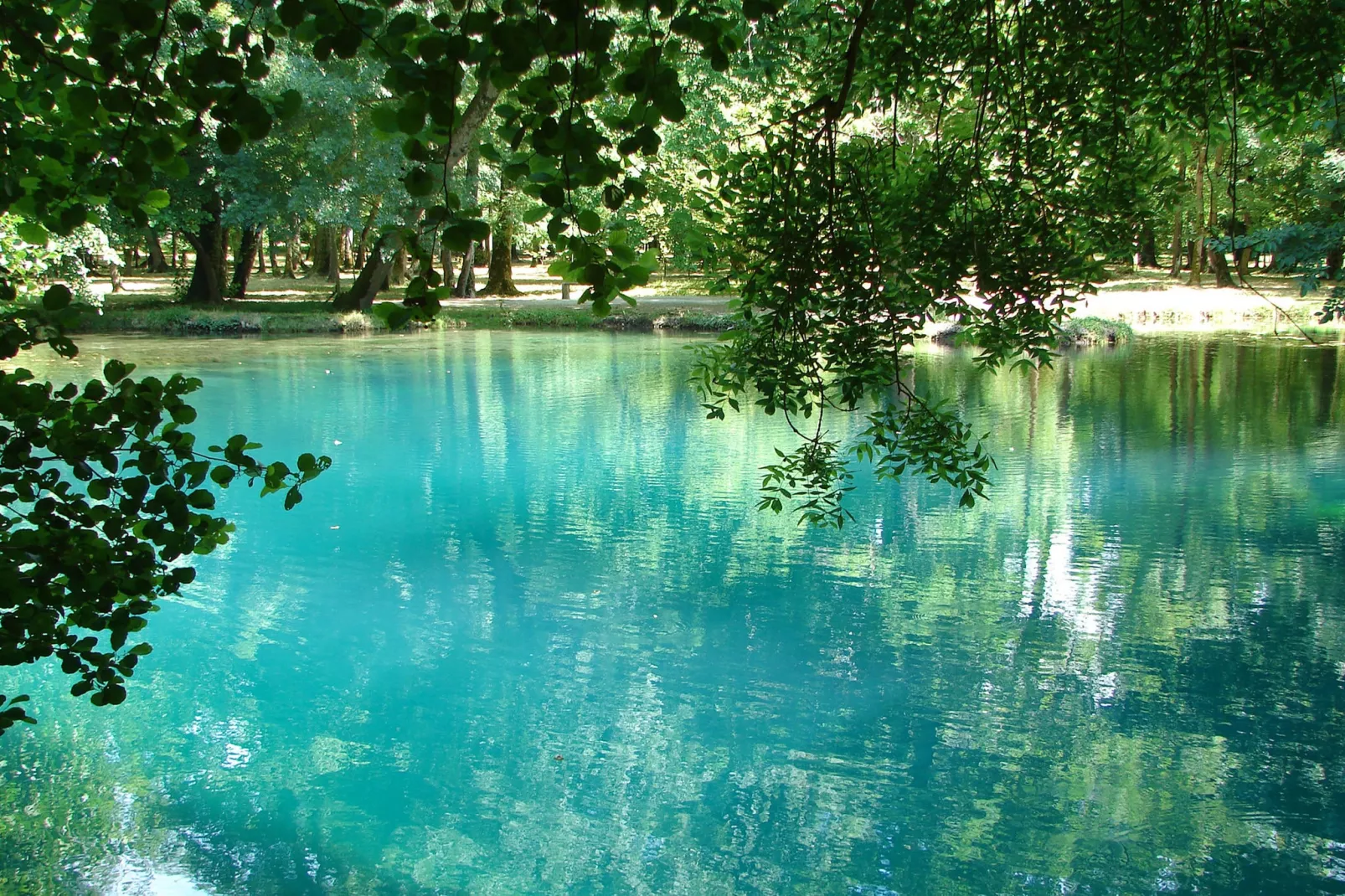 Villa Petite Champagne-Areas summer 20km