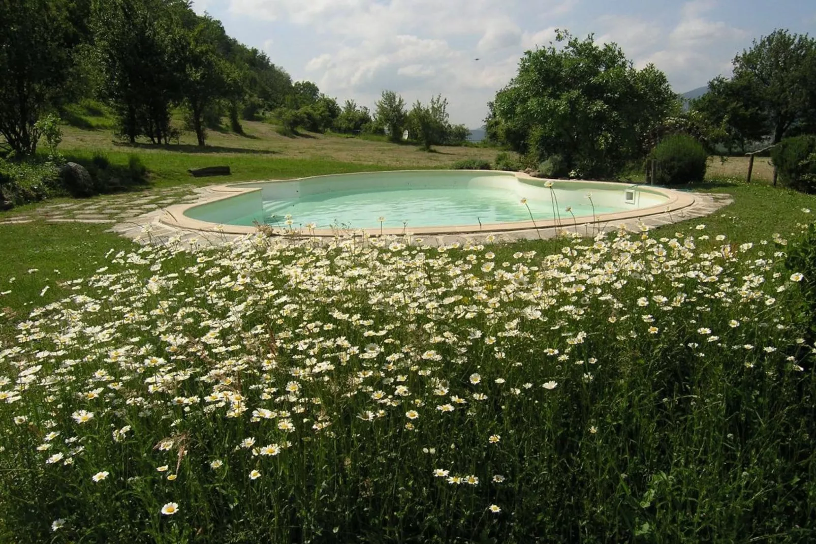 Nicoletta Sagrestia 1-Pool