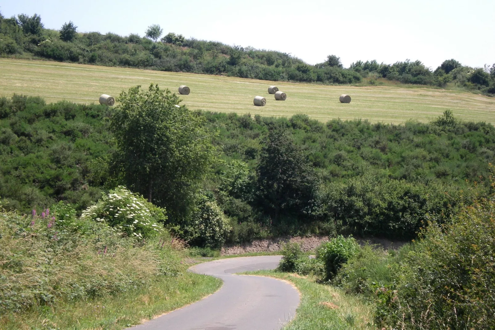 Feinen-Steils-Areas summer 1km