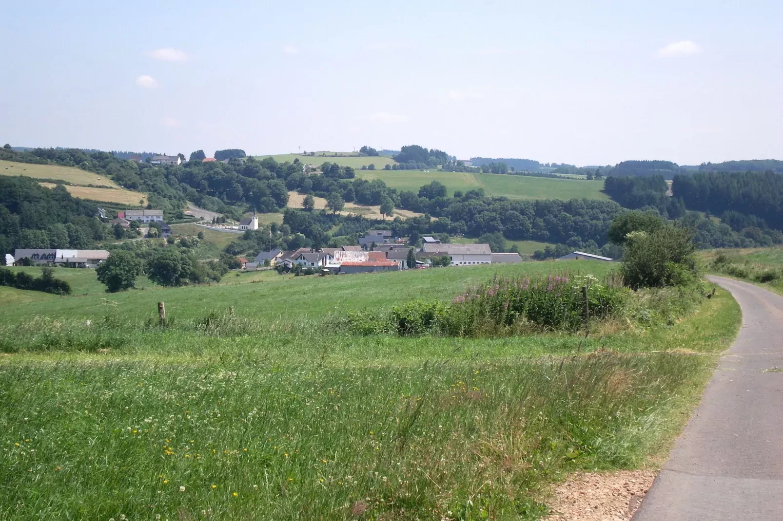 Feinen-Steils-Areas summer 1km