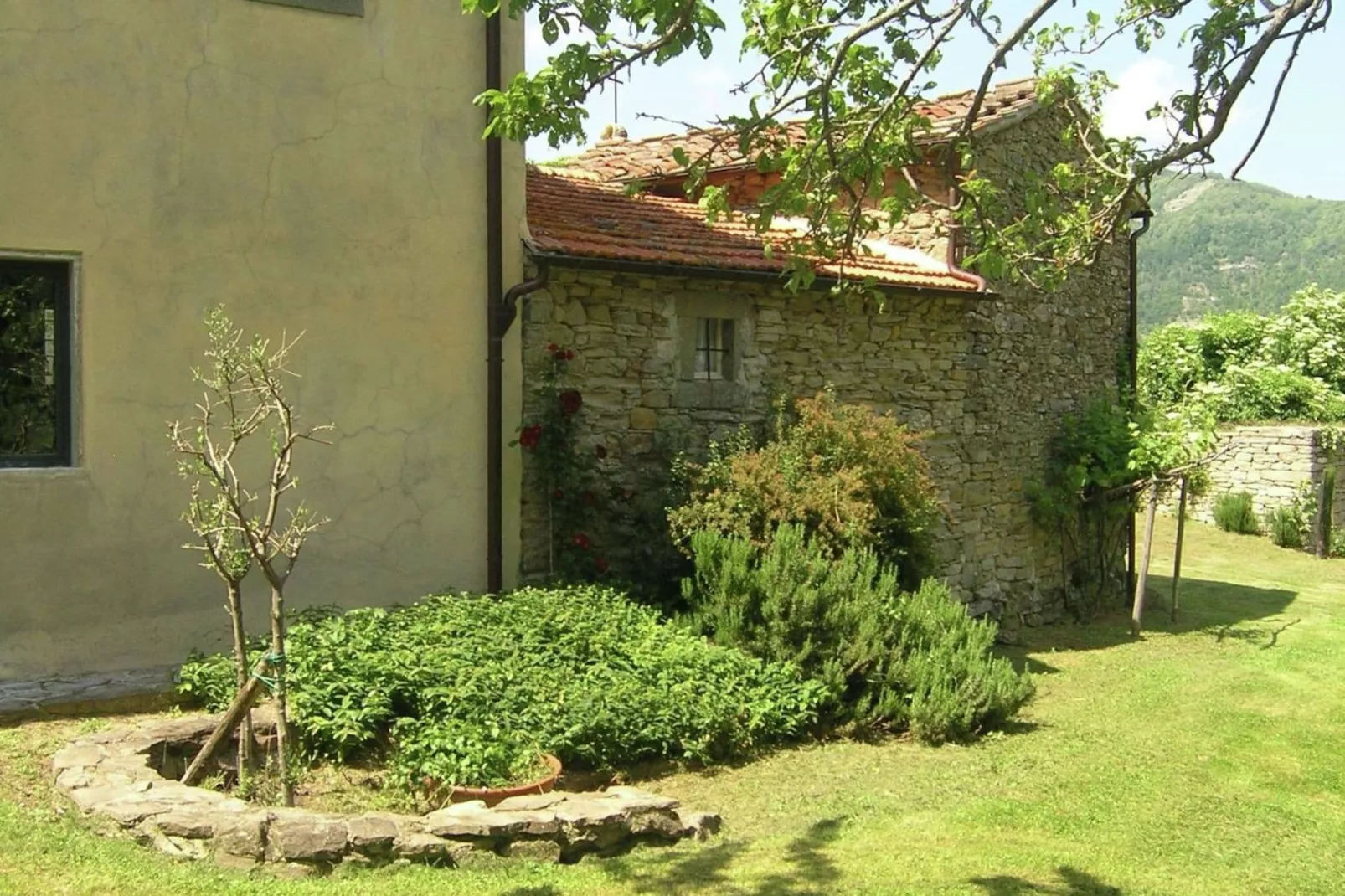 Nicoletta Sagrestia 1-Gardens summer