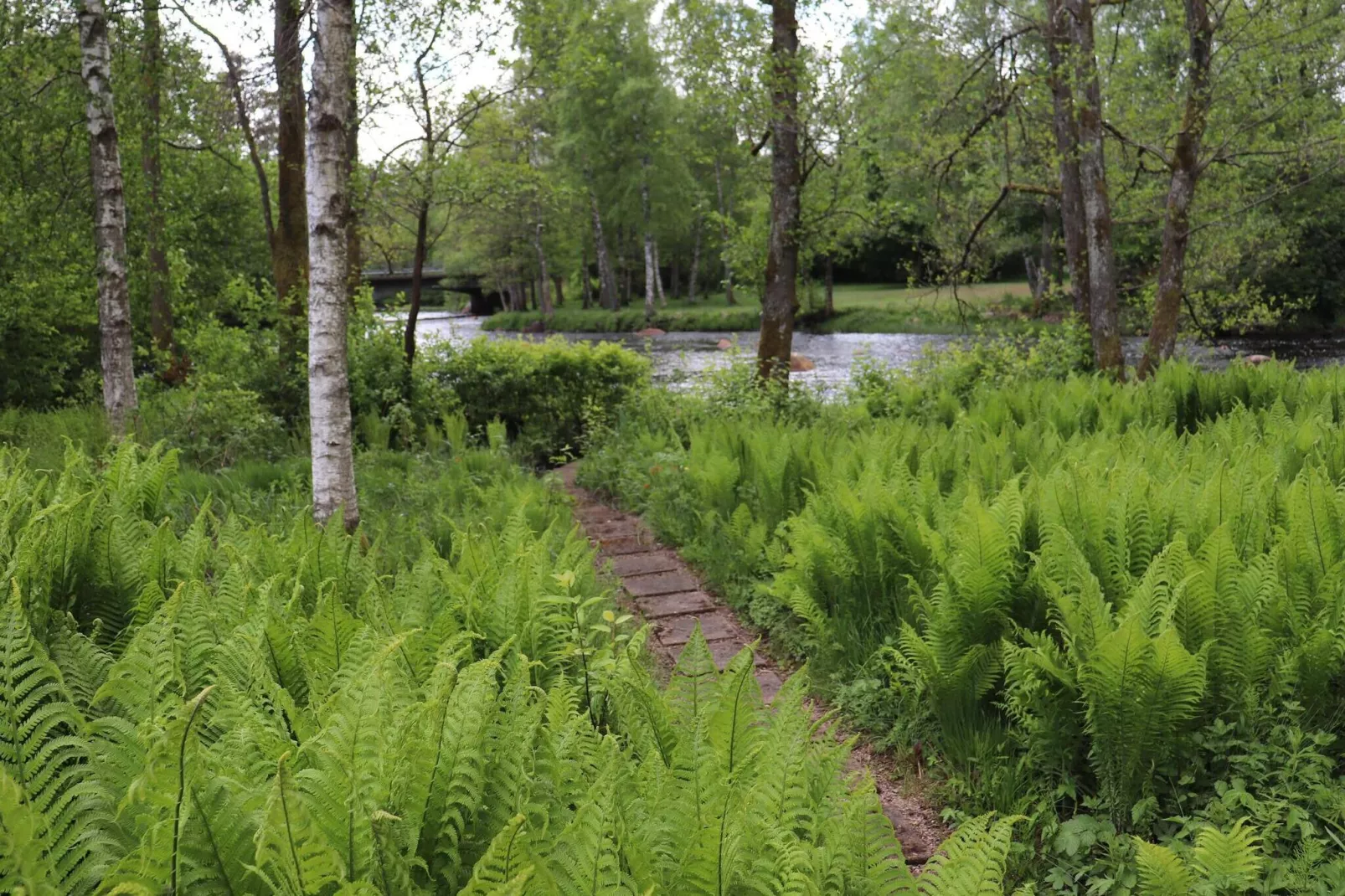 5 person holiday home in KNÄRED-By Traum-Not tagged