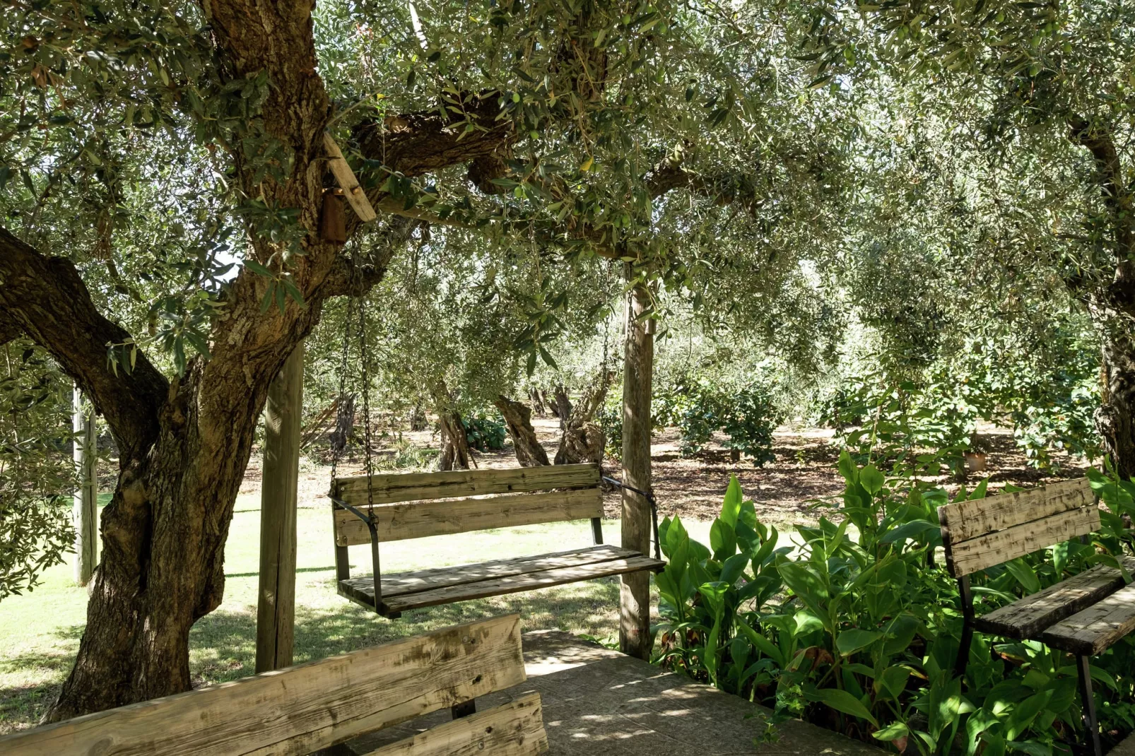 Montalbano Quattro-Gardens summer