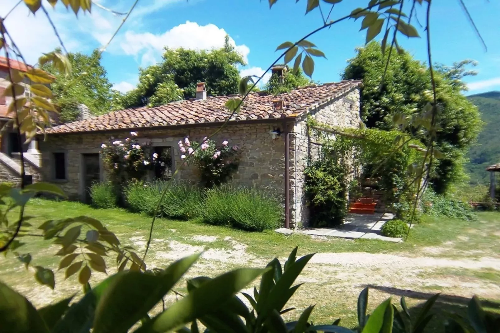 Nicoletta Sagrestia 1-Exterior summer