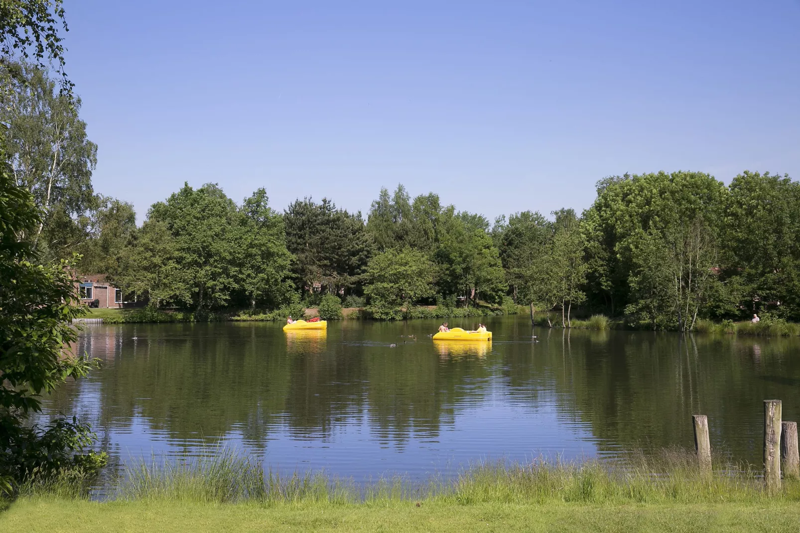 Vakantiepark Weerterbergen 5-View summer
