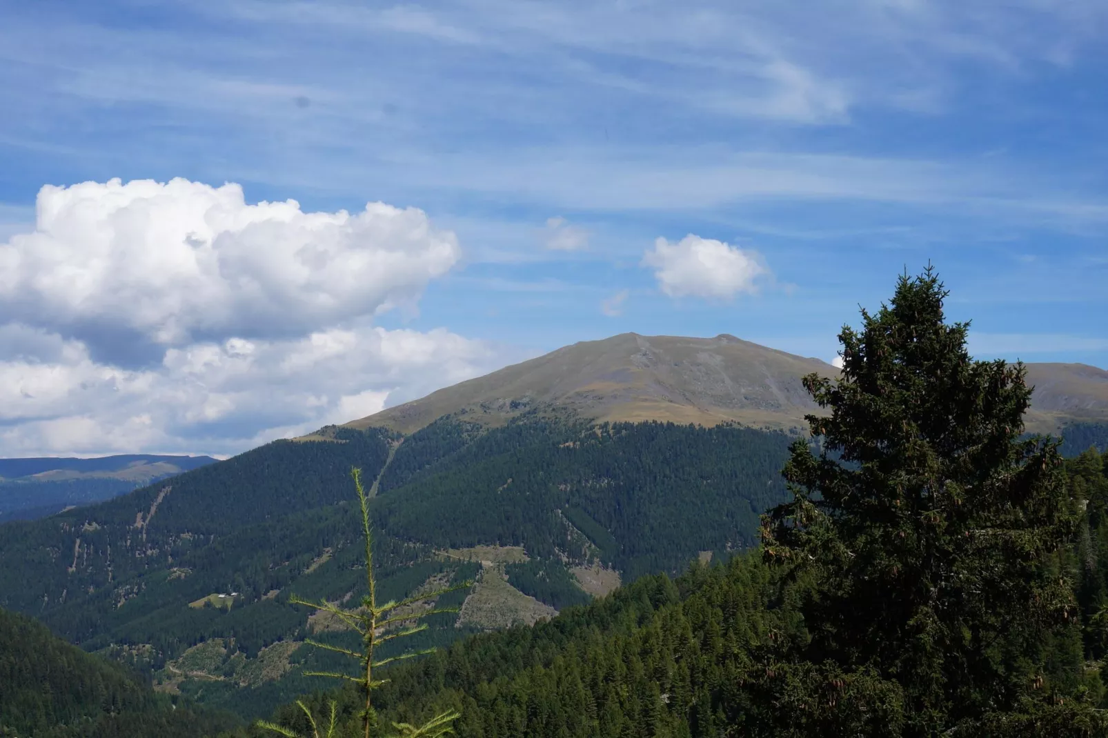 Chalet Bergliebe-View summer