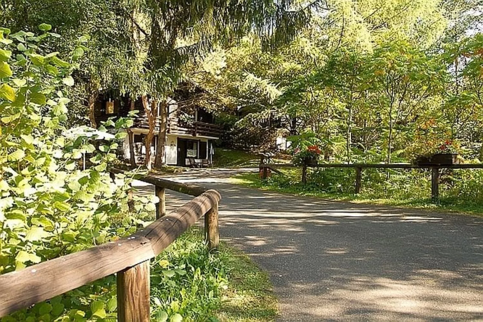 Feriendorf Reinskopf 5-Areas summer 1km