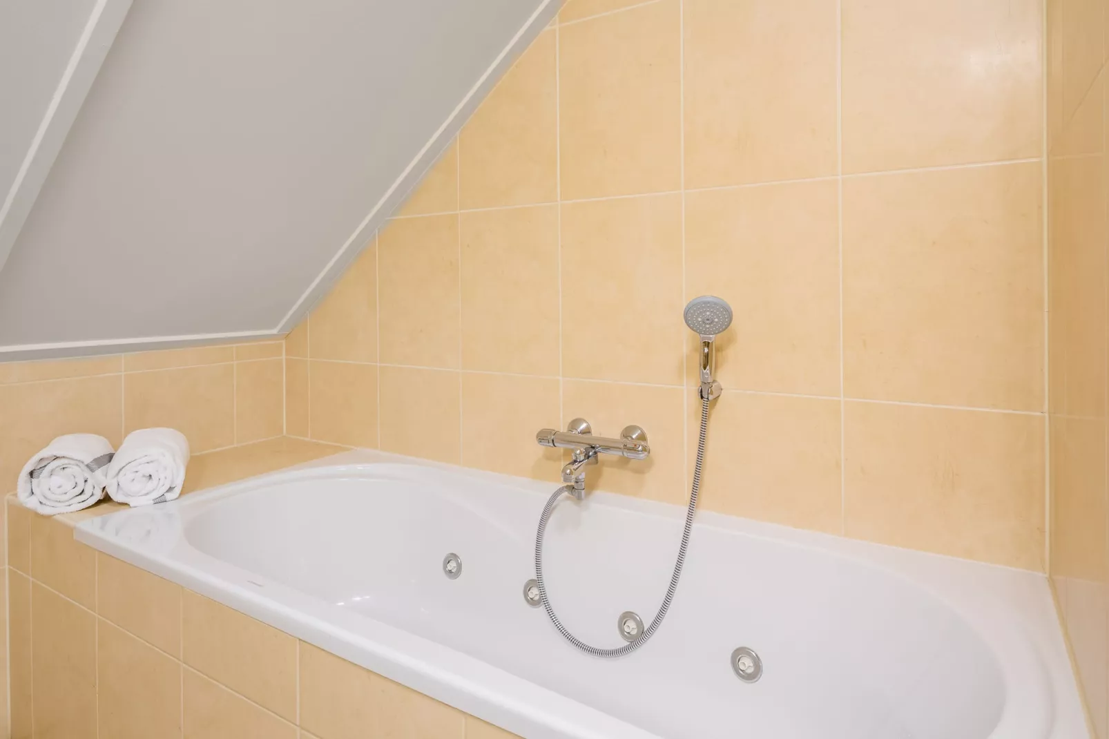 Vakantiepark Weerterbergen 6-Bathroom