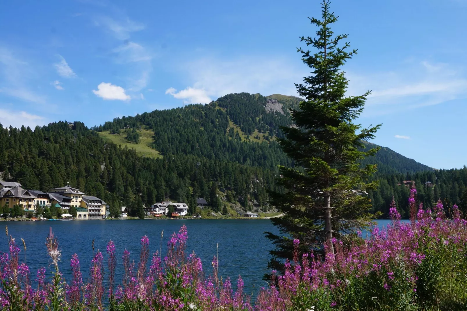 Chalet Bergliebe-Areas summer 1km