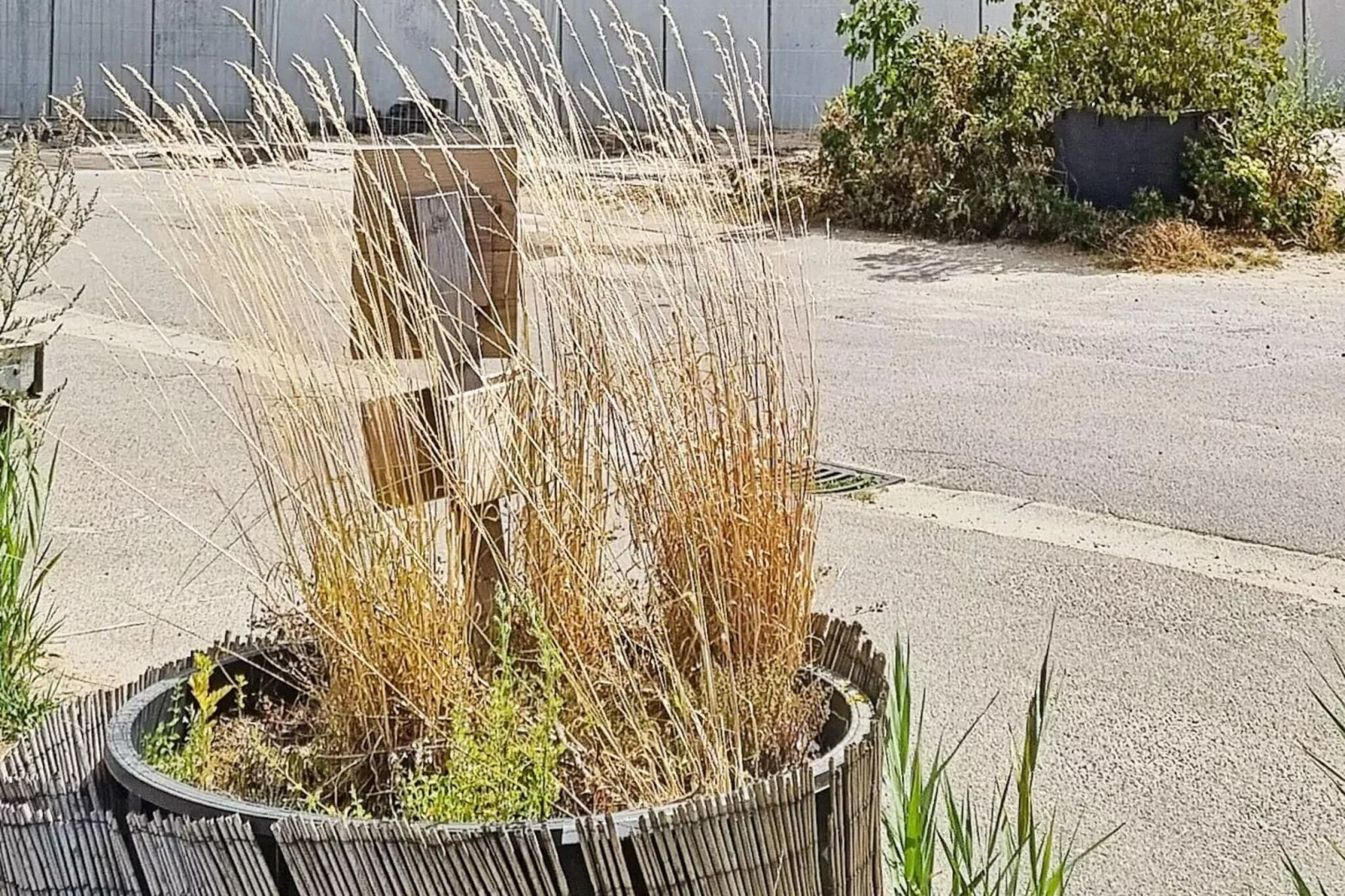 6 Personen Ferienhaus in Wendtorf-Nicht zugeordnet