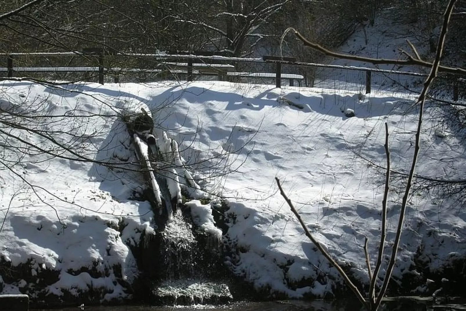 Feriendorf Reinskopf 5-Area winter 1km