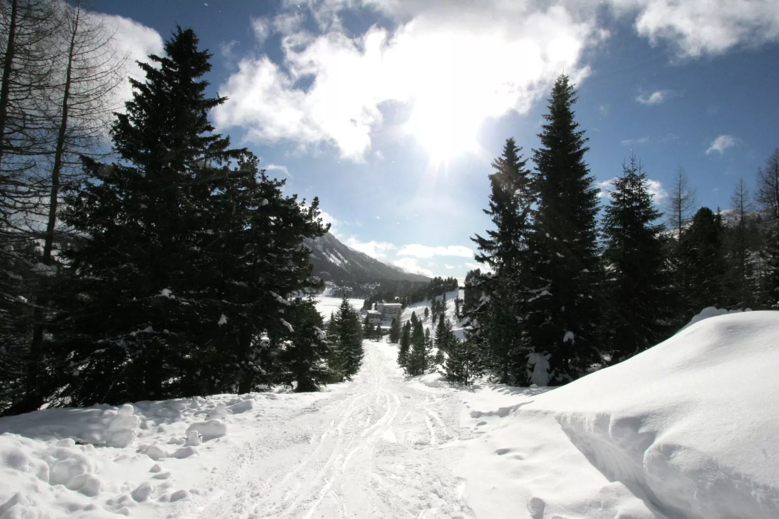Chalet Almblick-Area winter 1km