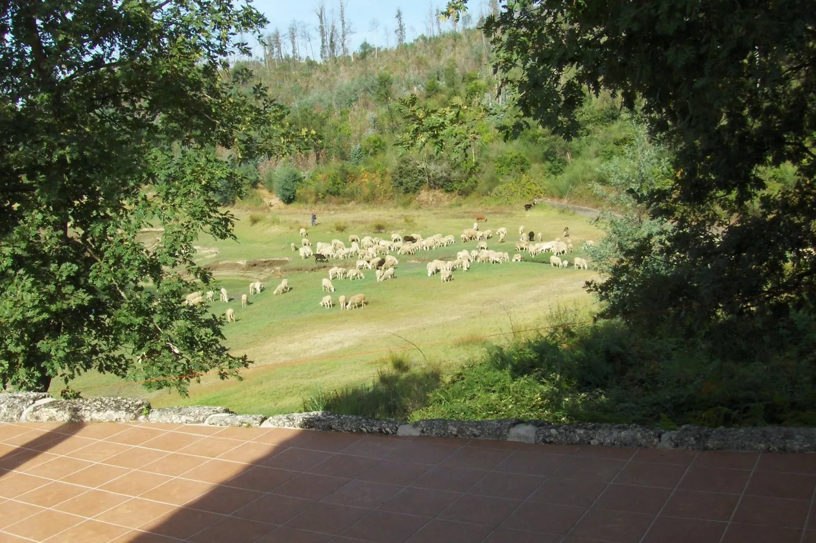 Quinta do Fim-View summer