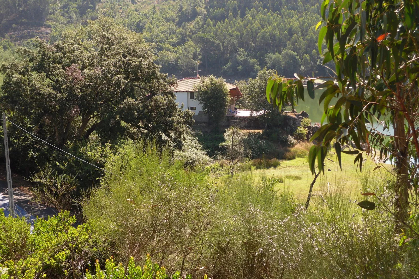Quinta do Fim-Gardens summer