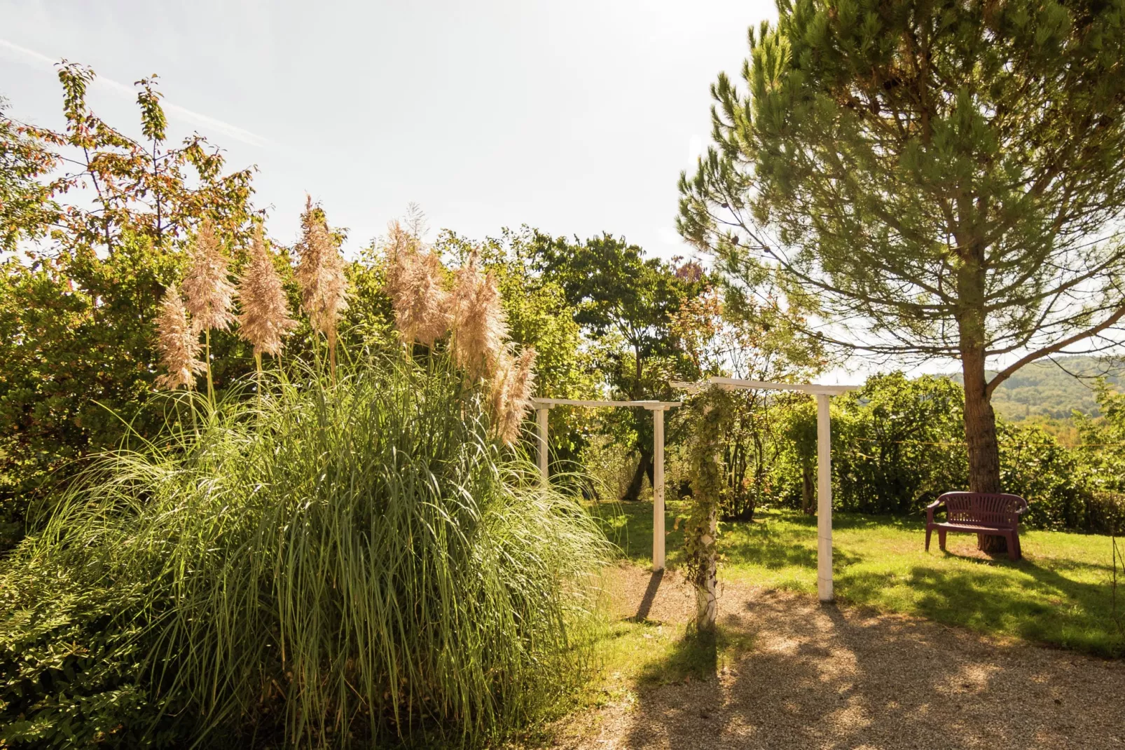 Le Rouvet près de Dordogne-Jardin d'été