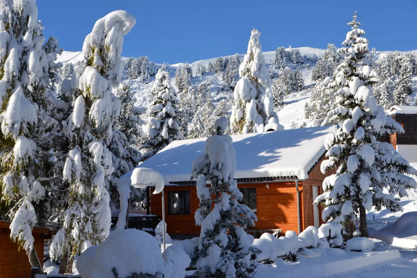 Haus Alpenröslein-Exterior winter