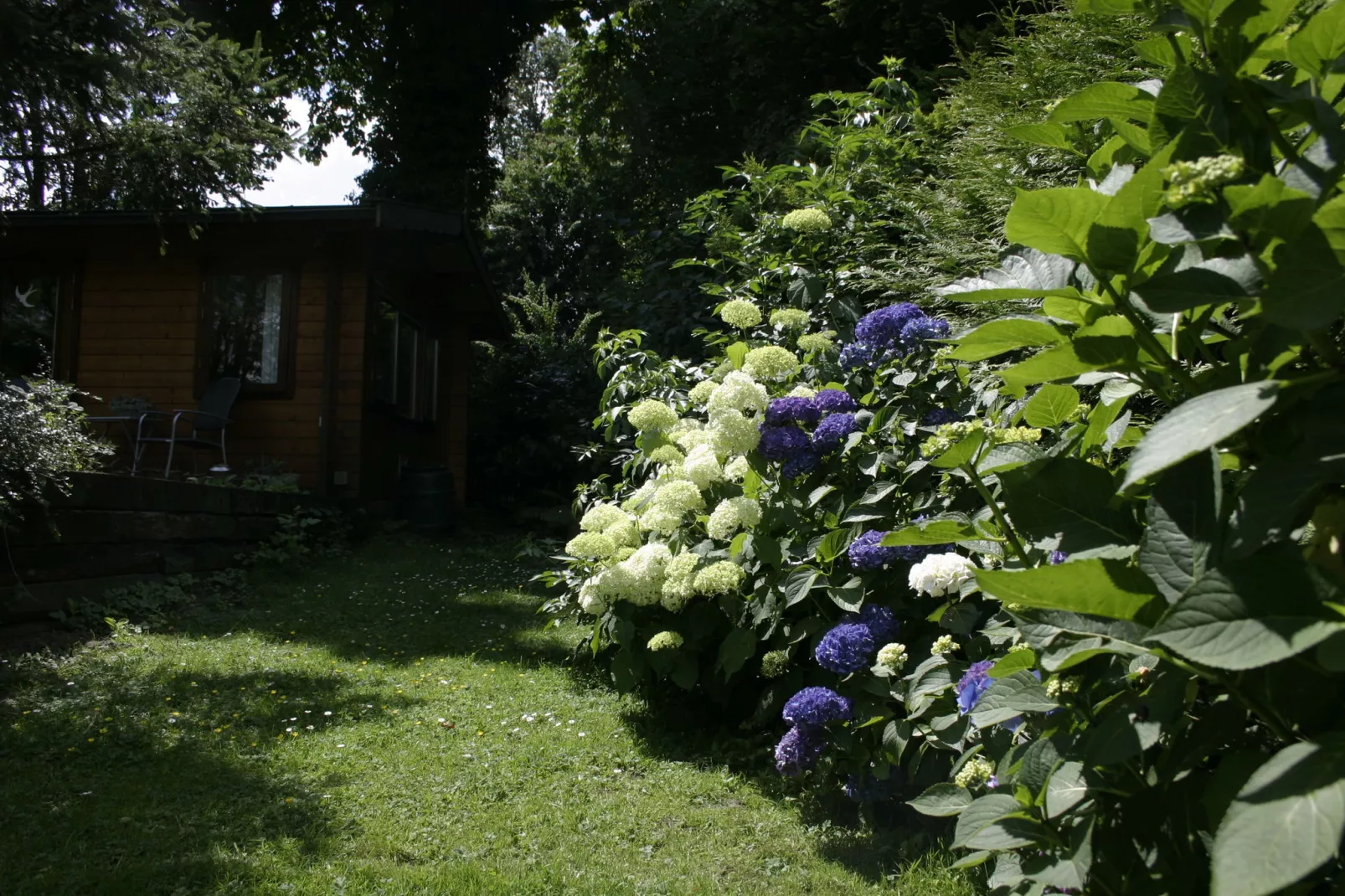 Chaletpark Kuiperberg 7-Gardens summer