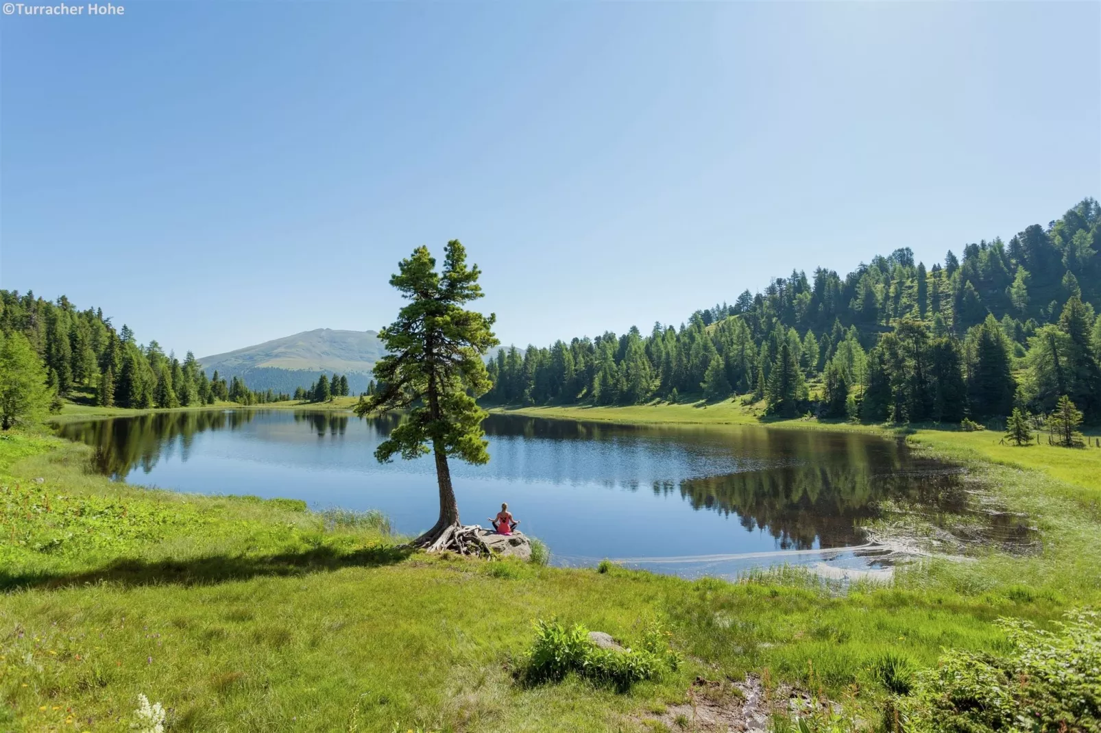 Alpenpark Turrach 6-Areas summer 1km