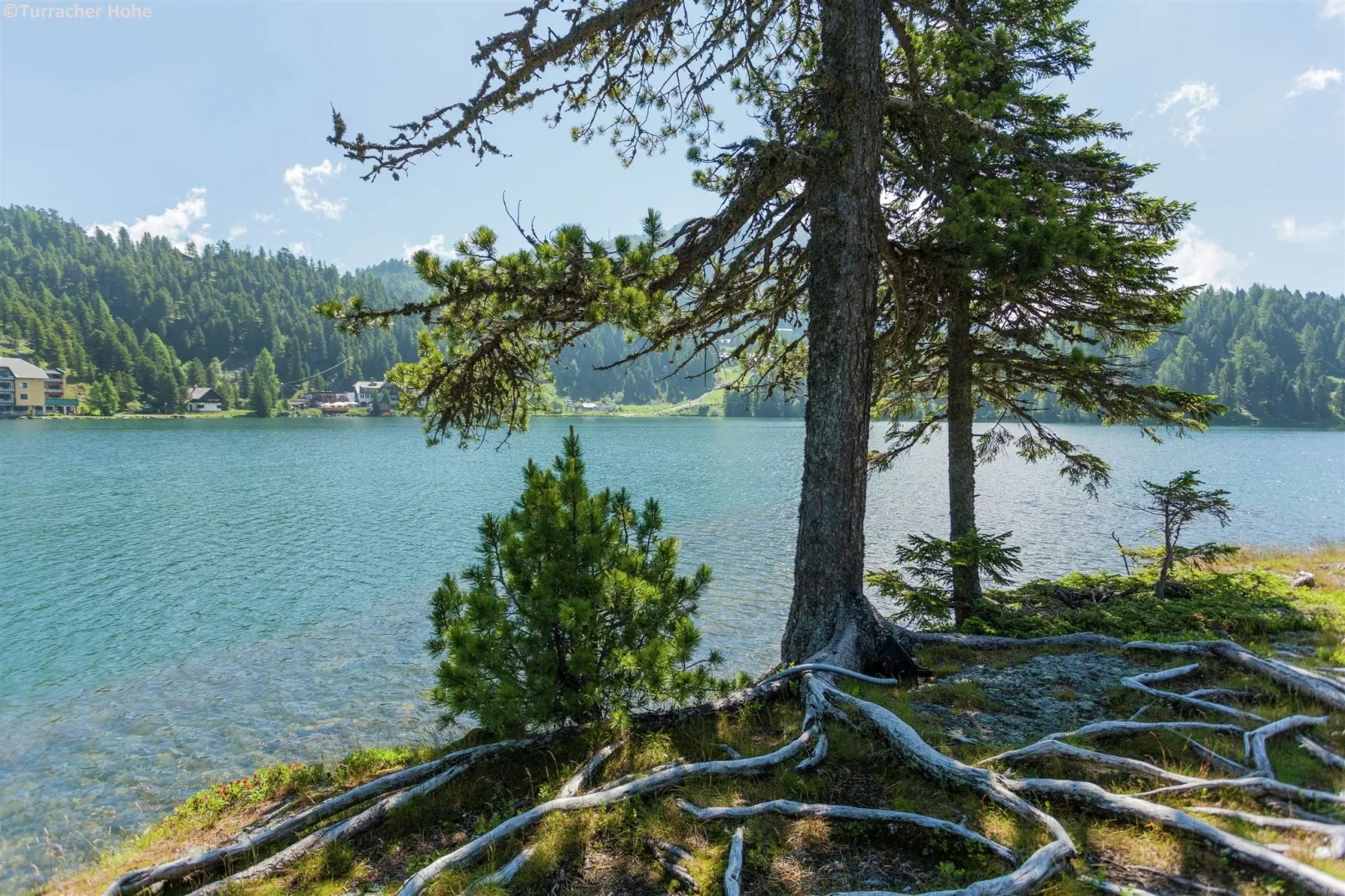 Alpenpark Turrach 6-Areas summer 5km