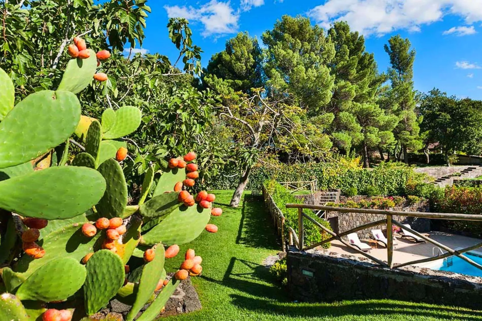 Montefiore-Garten Sommer