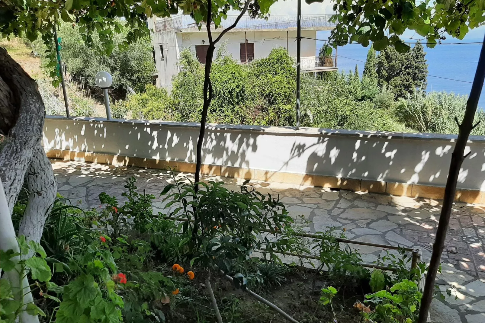 Andromaches Apartments Apartment B-Gardens in summer