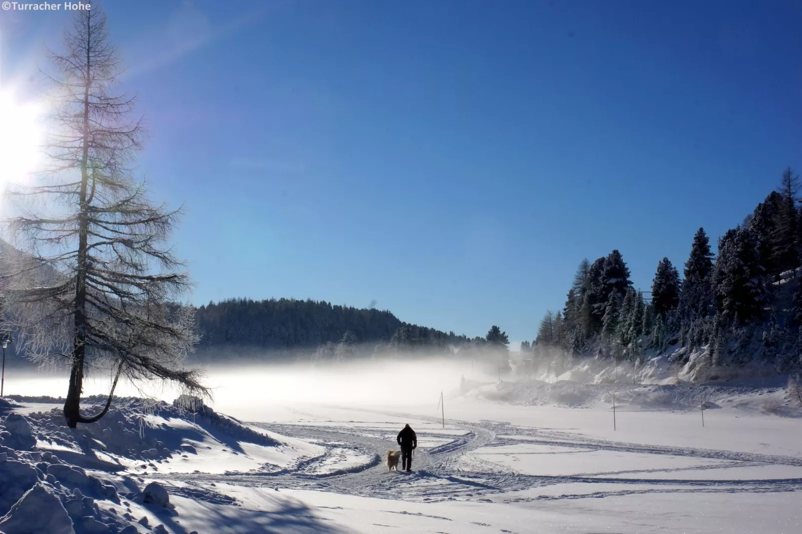 Alpenpark Turrach 6-Area winter 5km