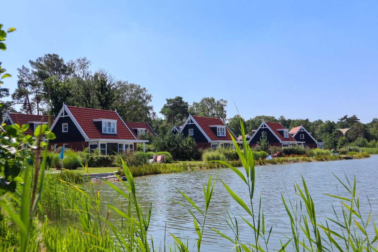 Resort De Zanding 4-Areas summer 1km