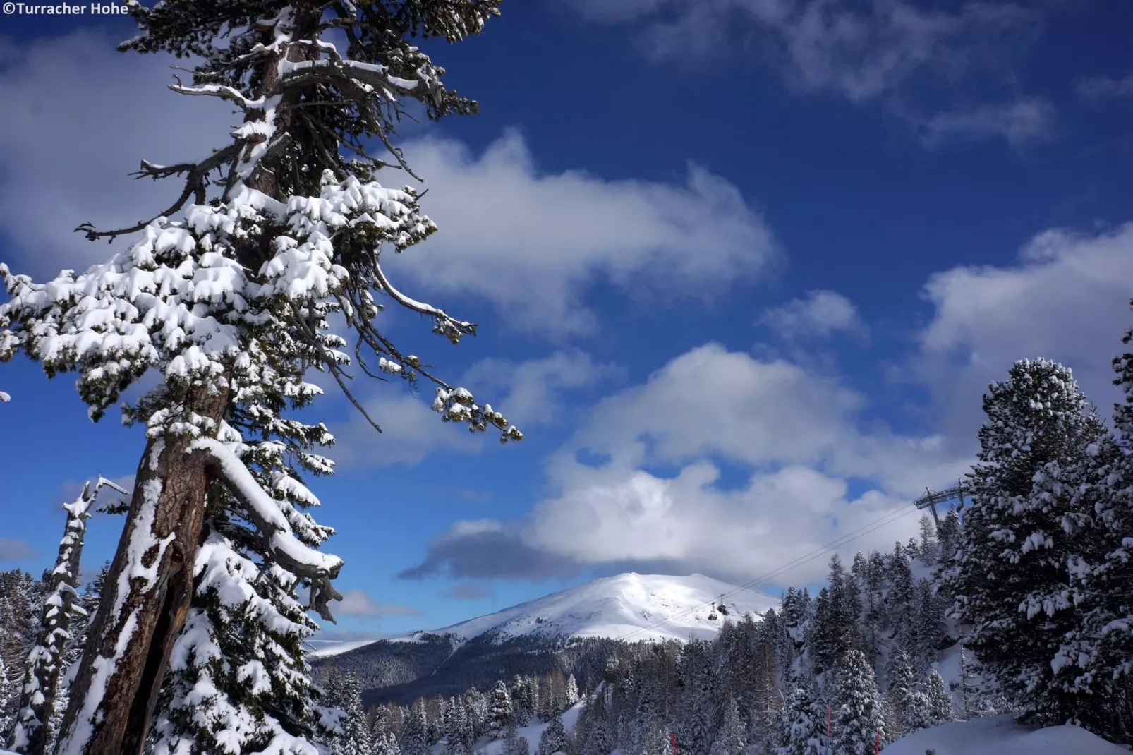 Alpenpark Turrach 6-Area winter 5km
