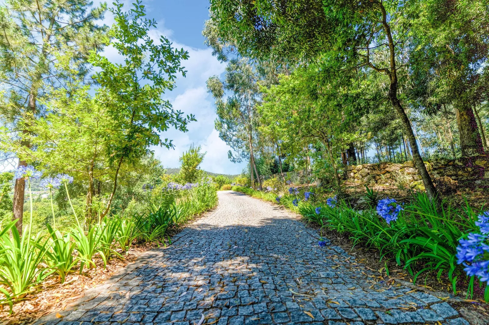 Veerle-Areas summer 5km